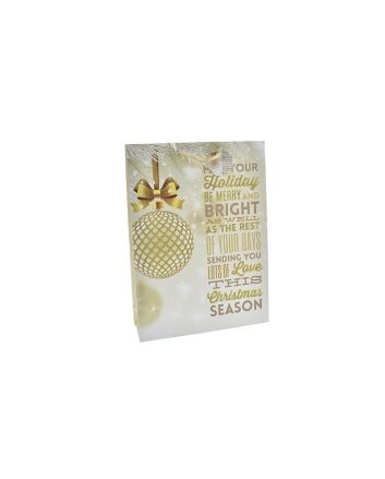 BUSTA NATALE 210GR 18X10X23CM DEC.08