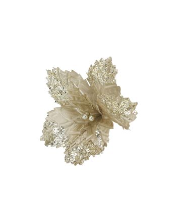 FIORE G.LUNGO 8P M.W7-25748 CHAMPAGNE