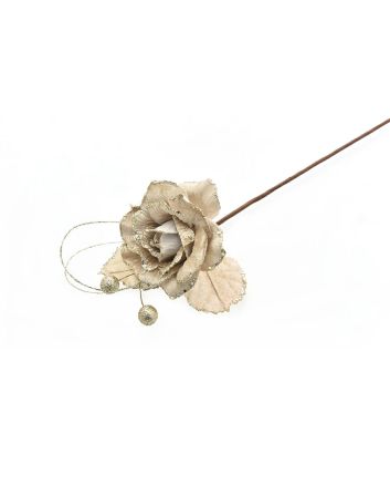 ROSA GAMBO LUNGO M.W25-20925024 CHAMPAGNE