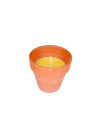 VASETTO TERRACOTTA CITRONELLA 14X13CM