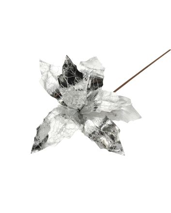 FIORE G.LUNGO 8PET M.W1-240115 ARGENTO