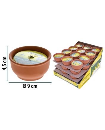 VASETTO TERRACOTTA CITRONELLA D.9CM - H.4,5CM