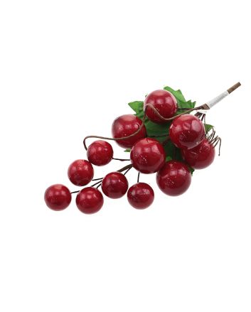 PICK BACCHE  23CM M.TYL21-905