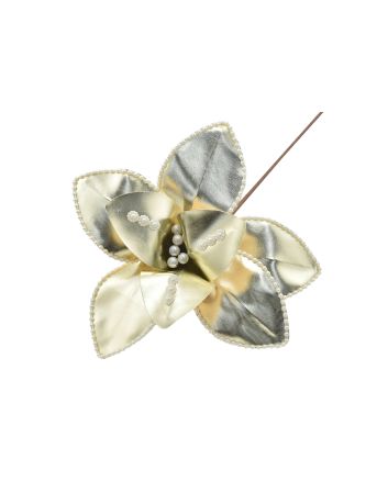 FIORE G.LUNGO 8PET M.W1-240027 CHAMPAGNE