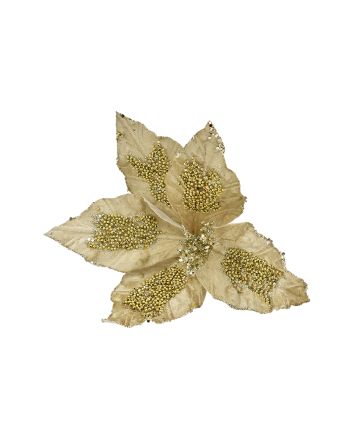 FIORE G.CORTO 5P M.W7-25761 CHAMPAGNE