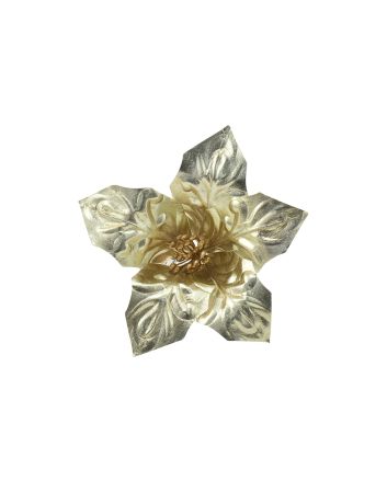 FIORE SMALL M.W13-24290 CHAMPAGNE